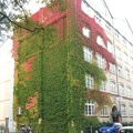 Multi-storey Plant